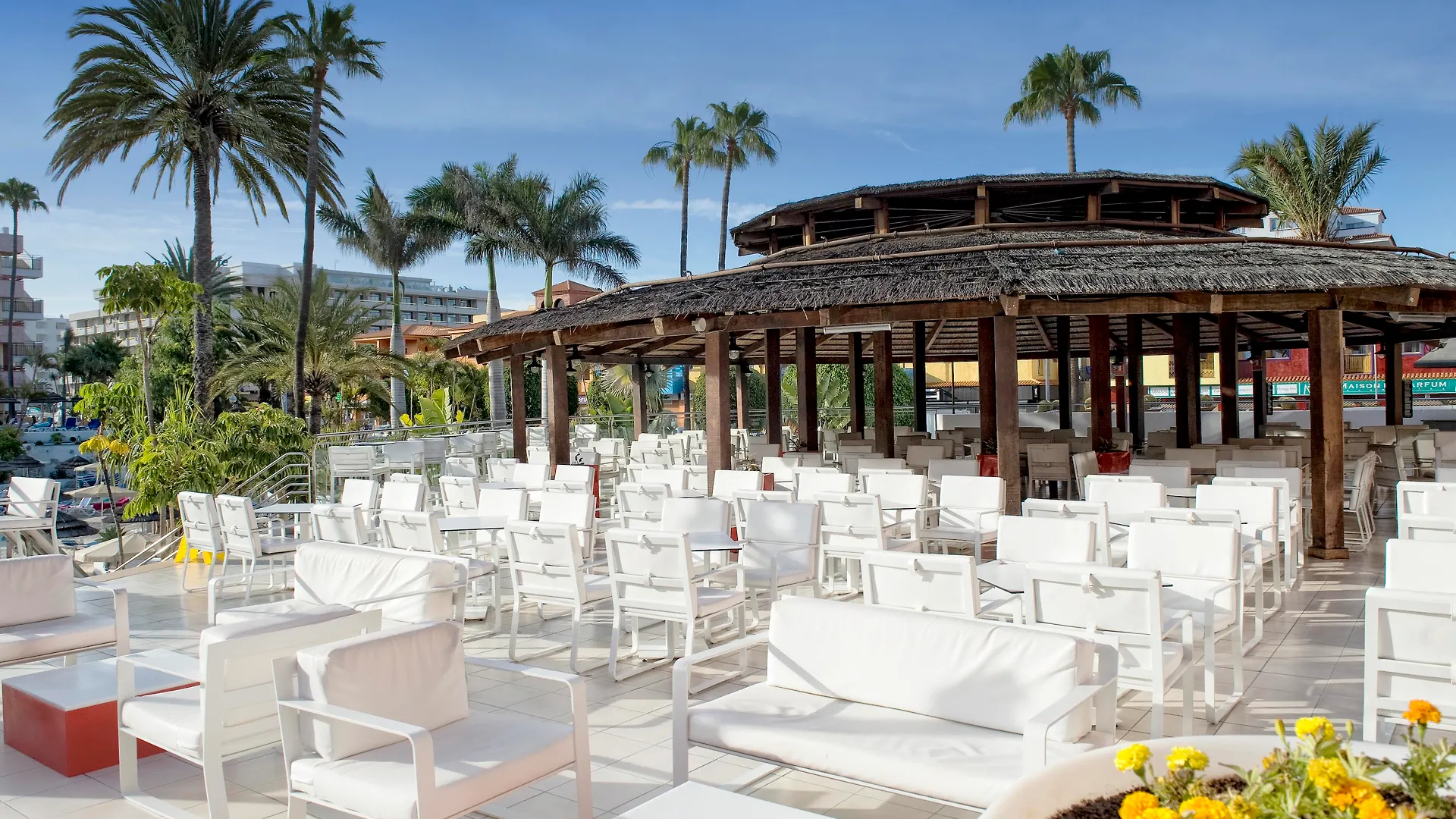 Alexandre La Siesta Hotell Playa de las Americas  Playa de las Americas (Tenerife)